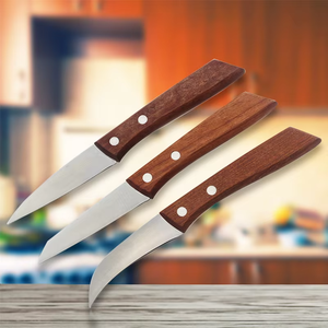 Set di 3 Coltelli da Intaglio in Acciaio Inox con Lame Diversificate per Bistecca, Verdure, Frutta, Manico in Legno per Arti Culinare - Product Image 1