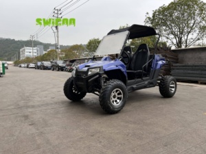 Full Adult 150cc 200cc 300cc Gas UTV Go-Kart côte à côte avec <span class=keywords><strong>automatique</strong></span> avec marche arrière - Product Image 3