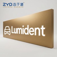 Enseigne lumineuse LED en acier inoxydable personnalisée pour devanture de magasin, logo de marque, décoration murale, boîte à lumière 3D avec lettres