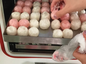 Lyophilisateur domestique avec compresseur à technologie allemande - Product Image 5