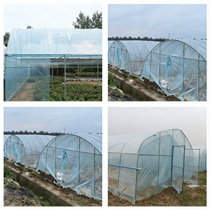 Film de couverture en plastique <span class=keywords><strong>pour</strong></span> <span class=keywords><strong>serre</strong></span> agricole renforcé résistant aux UV AGG 200 micromètres, plaque PC Anhui Large - Product Image 4