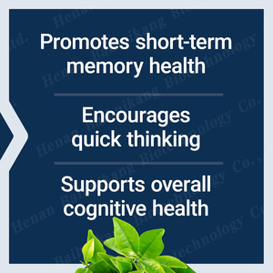 Nootropic não hỗ trợ bổ sung cho bộ nhớ & tập trung nootropic não tăng cường năng lượng viên nang - Product Image 4