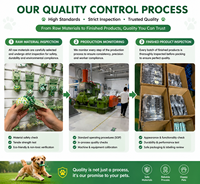 Juguete de Goma para Perros, Juego de Tira y Afloja, con Sonido, Ecológico, Diseño Moderno de Lujo con Cuerda Biodegradable