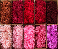 Yunnan harga grosir pabrik bunga Hydrangea sentuhan asli untuk dekorasi pembuatan Hydrangea diawetkan Hari Ibu
