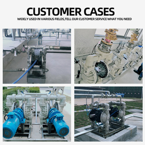 Customizable 1 Inch Metal PP Compressed Air Diaphragm <strong>Pumps</strong> 8.4 <strong>Bar</strong> Pressure 25mm Outlet Sea Water Pneumatic Printing Ink OEM - Product Image 6
