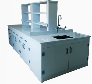 Mesa de Trabajo de Laboratorio LB-PP-02 de Alto Rendimiento, Recubierta con Polvo Anticorrosivo, para Laboratorio de Microbiología - Product Image 6