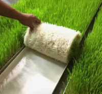 Planteur de fourrage, grand bac à fourrage, gouttière à fourrage en PVC, système de culture hydroponique pour ferme, moutons, vaches