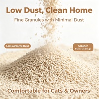 Litière pour chat non-compactante, formule propre, absorption rapide, agglomération dure, désodorisant efficace, pour usage domestique