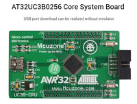 AVR32 UC3B0256 Core Board Carte de développement système avec port USB Aucun téléchargeur requis AT32UC3B0256