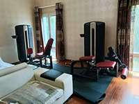 Machine d'extension dorsale avec pile de poids sélectionnable et réglable, pour le renforcement du bas du dos, équipement de fitness commercial pour salle de sport