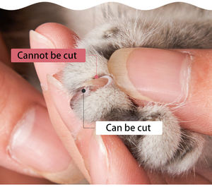 Outil de toilettage professionnel serrure de sécurité coupe-ongles pour animaux de compagnie lime et tondeuse avec poignée antidérapante et <span class=keywords><strong>garde</strong></span> de sécurité - Product Image 5