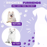 Shampooing et après-shampooing 2-en-1 premium pour chiens et chats, marque privée, formule végétale, pour un pelage brillant et doux, soin et toilettage.