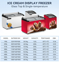 Congélateur de présentation de glaces et de sorbets commerciaux avec porte en verre trempé, fonctionnement pratique, certifié CE ETL CB