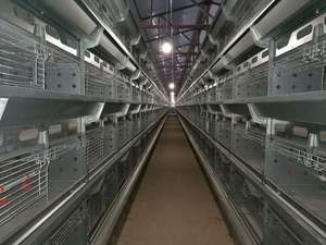 Cage automatique complète de poulet de couche de batterie d'équipement de ferme de volaille de poule avec le système de ponte - Product Image 4