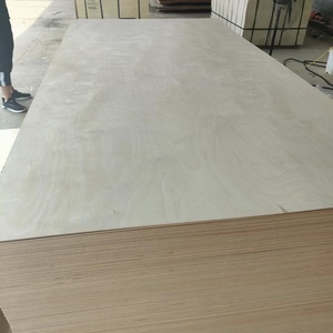 4X12 3mm 6mm 18mm <span class=keywords><strong>3</strong></span> <span class=keywords><strong>4</strong></span> Contreplaqué 4x8 Pakistan Marine <span class=keywords><strong>Prix</strong></span> Bouleau Peuplier Eucalyptus Contreplaqué 18mm Feuilles - Product Image 3