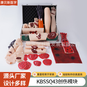 Module de traumatologie KBS/SQ43 : Module d'évaluation des traumatismes et de formation infirmière ; Équipement simulateur de présentation des blessures : Trousse de blessures - Product Image 2