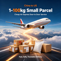 Expédition de fret aérien de la Chine vers les États-Unis, Amazon FBA, porte à porte, DDP, dédouanement inclus