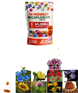 Kit de paquets de mélange de fleurs sauvages d'intérieur facile à cultiver, style campagnard, ensemble de pots, fleurs à taux de germination élevé au sol - Product Image 1