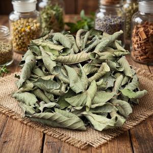 ใบฝรั่งแห้งแบบอียิปต์ (อายุการเก็บรักษา 24 เดือน)- แบรนด์ HERBS GROUP ผลิตภัณฑ์จากอียิปต์ แหล่งกำเนิดจากเมืองเฟยูม อียิปต์ สำหรับทำน้ำสมุนไพร - Product Image 1