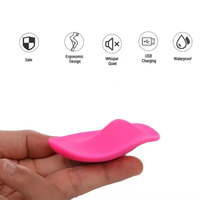 Top-Ranking Tragbarer Klitoris-Stimulator Kabellose Fernbedienung Sicheres Silikon 10 Vibrationsmodi Masturbations-Höschen-Vibrator