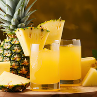 Zhichuns Instant Fruitpoeder met smaak, verrijkt met vitamine C, kant-en-klare drank, 365 dagen houdbaarheid, commercieel rauw product