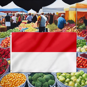 Оптовая продажа, дешевые пользовательские флаги с логотипом, быстрая доставка для рекламного использования - Product Image 2