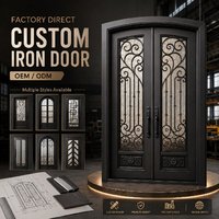 Porte et portail d'entrée en fer forgé sur mesure avec design moderne, prévention des incendies, pour usage extérieur d'appartement