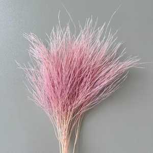 Stipa Pennata séchée romantique, herbe à plumes séchée, herbe à plumes conservée, herbe de pierre - Product Image 4