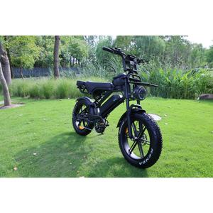 Vélo électrique Ecoride V8 750 W, pneus larges 15 Ah, livraison gratuite, double selle, tout-terrain - Product Image 2