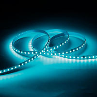Tira de LED de Alto Voltaje AC 220V Personalizada, Sin Controlador, Impermeable IP44, Flexible, Tipo Neón, para Proyectos Arquitectónicos, Lámpara Elegante