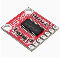Module de carte amplificateur numérique OEP30W Kit d'amplificateur bricolage 30W classe D Rainbowsemi