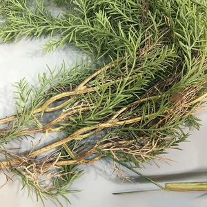 <span class=keywords><strong>Plantas</strong></span> Colgantes <span class=keywords><strong>Artificiales</strong></span> de 110 cm, Planta Verde Artificial, Enredadera Artificial para Pared, Hogar, Decoración de Techo con Follaje Verde Artificial - Product Image 5