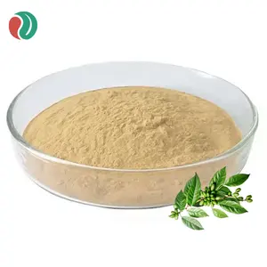 Ekstrak Tanaman herbal hijau bubuk asam klorogenik 50%