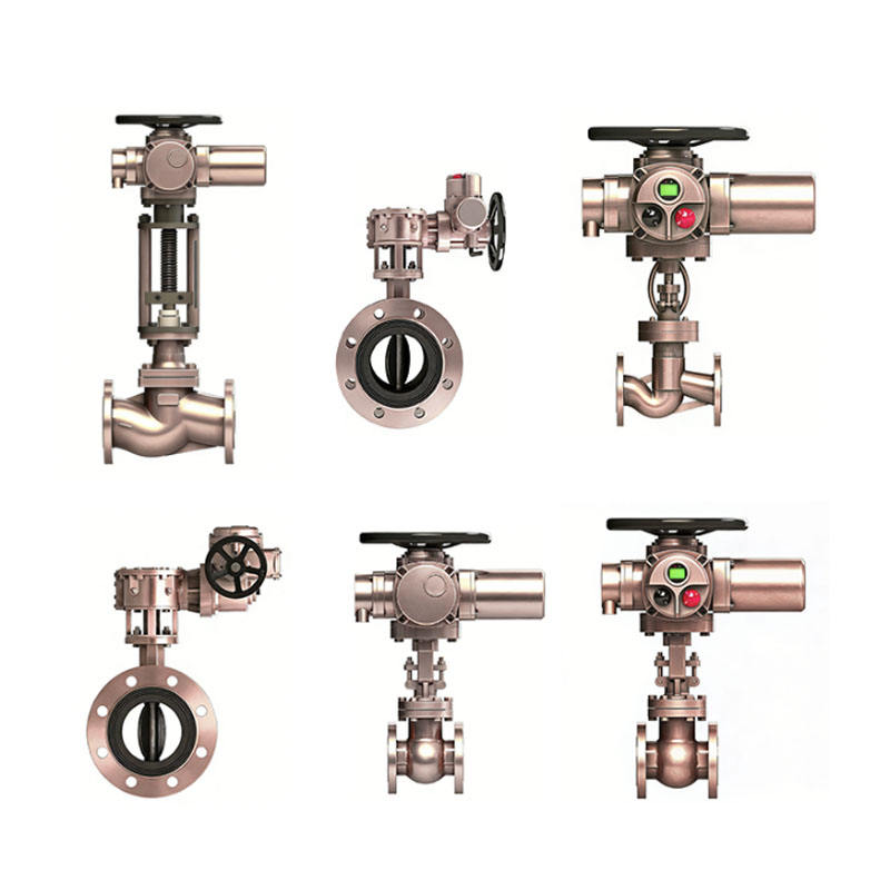 Actionneur électrique pour vanne papillon