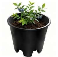 Pot Tanaman Horyard Heavy Duty 25L dari Plastik PP, Warna Hitam, untuk Blueberry dan Bunga, Ramah Lingkungan, Biodegradable, Dapat Digunakan Kembali, dan Dapat Dipasang di Dinding
