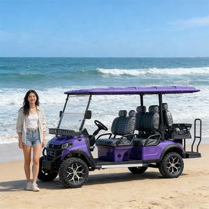 Bus touristique et voiture 4x4, voiturette de golf électrique de luxe 6 places - Product Image 6