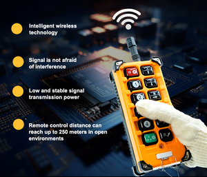 Control remoto por radio universal elevador de grúa puente inalámbrico Industrial a prueba de agua IP65 éxito de ventas de la venta del - Product Image 6