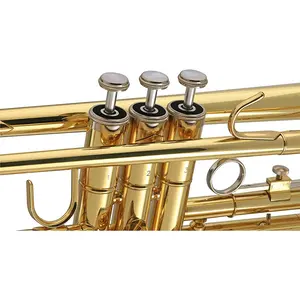 Akzeptieren Sie OEM High Quality Günstige Gold Bb Trompete Messing JYTR401