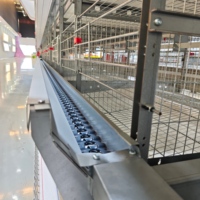 Système d'élevage avicole intelligent et économe en énergie avec cages d'ingénierie pour poules pondeuses, pour l'exportation d'œufs