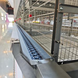 Cage <span class=keywords><strong>à</strong></span> poules pondeuses de qualité supérieure, <span class=keywords><strong>prête</strong></span> <span class=keywords><strong>à</strong></span> l'exportation, en <span class=keywords><strong>vente</strong></span> pour les fermes au Pakistan, cage <span class=keywords><strong>à</strong></span> poules pondeuses au Bangladesh, cage <span class=keywords><strong>à</strong></span> volailles de type H - Product Image 2