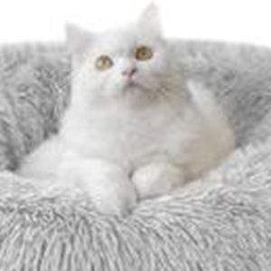 Juego de Tres Piezas de Camas Redondas de Terciopelo Gris Claro para Mascotas, Elegantes Camas para Mascotas - Product Image 4