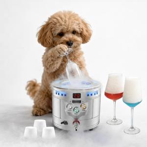 Small Dry <b>Ice</b> Machine for Bar and Catering Fast Frozen Glass <b>Maker</b> Cocktail Presentation Party Event Equipment 2 in 1 Portable M - Product Image 1