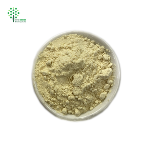 Lecitina di soia per uso alimentare 95% lecitina di soia in polvere - Product Image 3