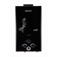 Wholesale 10 liter gas water heater For Water Heating - Alibaba.com