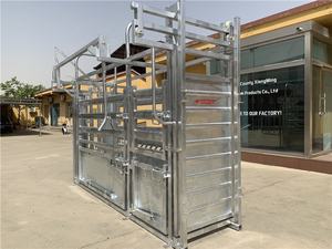 Panel de Compresión para Ganado Galvanizado, Equipo de Manejo de Ganado con Sistema de Pesaje - Product Image 3