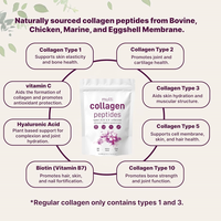 Poudre de peptides de collagène composé, peptides de protéines hydrolysées (types I, II, III, V, X), acide hyaluronique, biotine, vitamine C, sans saveur