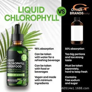 Gotobeauty OEM High Quality Chlorophyll Liquid Drops Immune Support Natural Detox Chlorophyll Herbal Supplements