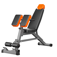 Yidakang Équipement de fitness intérieur multifonctionnel, Chaise romaine, Banc de musculation, Banc de poussée pour usage domestique