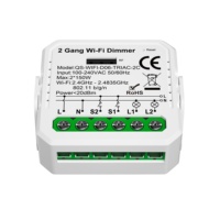 Module Mini LED à Gradation 2CH Universel Tuya WiFi Intelligent Contrôle à Distance Sans Fil Bidirectionnel Interrupteur Mural Miniature 2 Gang 240V