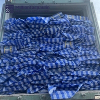 Rouleau de bâche en PP tissé laminé bleu foncé avec rayures blanches, très populaire, pour couverture de camions et entrepôts agricoles